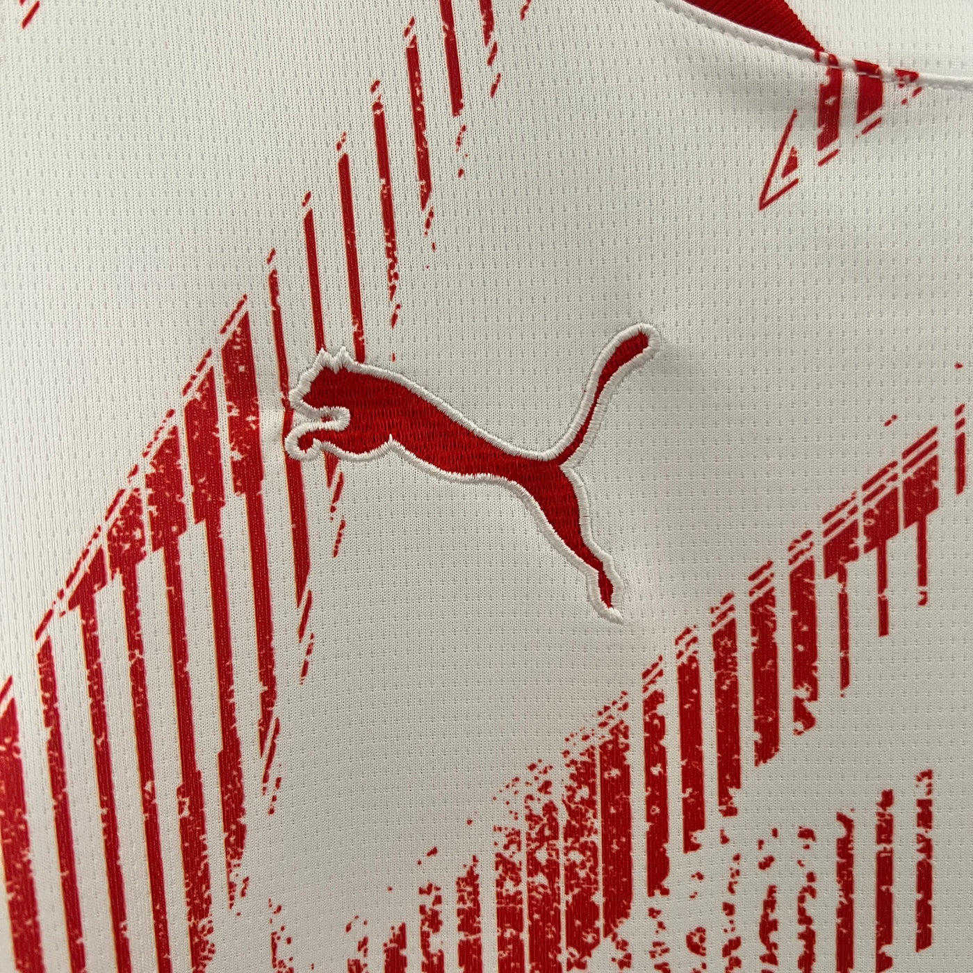 RB Leipzig HOME 2024/25