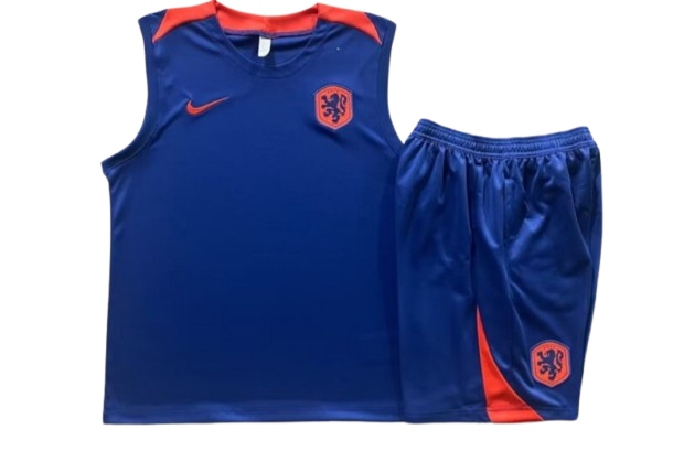 Netherlands Kit Top Training 2024/2025 - Nederland