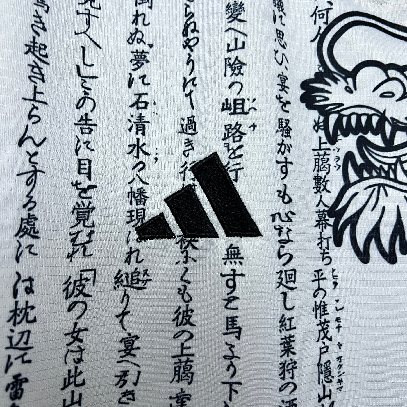 Japan Dragon Year Edition 2024/2025