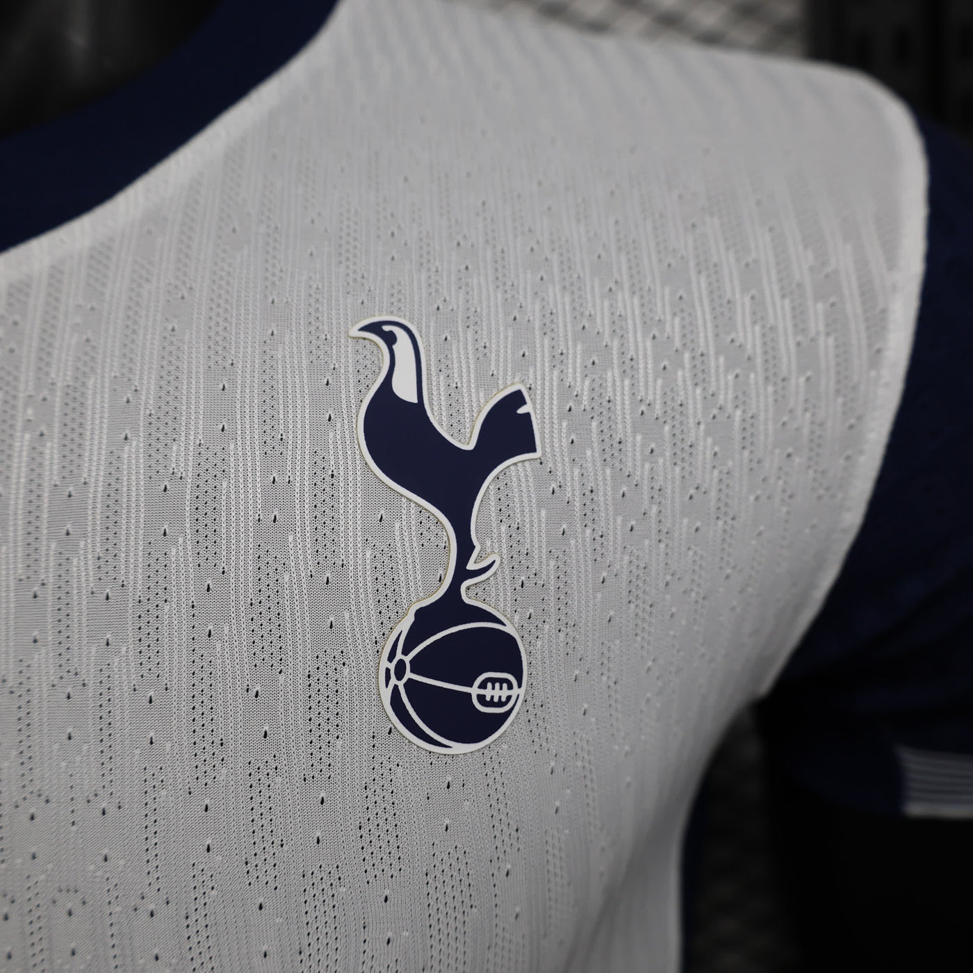 Tottenham Hotspur Thuis Shirt 2024/25