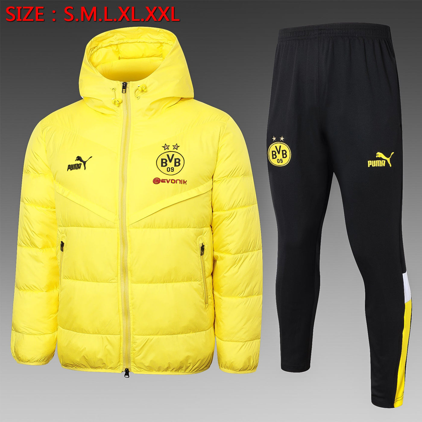 Dortmund 24/25 Winter Jacket & Pants - Men's Padded Sports Set